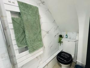 圣吉尔Studio Cosy的浴室设有卫生间,墙上配有绿色毛巾。
