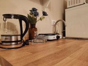 贝尔格莱德Apartman Vuk的厨房台面上配有搅拌机和水槽