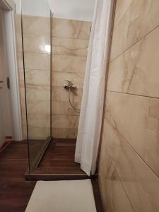 贝尔格莱德Apartman Vuk的带淋浴的浴室和玻璃门