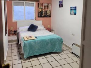 格拉纳达Habitacion muy céntrica.的一间卧室配有一张带蓝色毯子的床