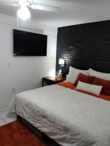 瓜达拉哈拉Casa Orquídea的一间卧室配有一张大床和一台平面电视