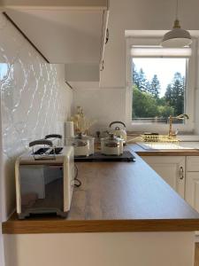 下乌斯奇基Noclegi Panorama的厨房配有带烤面包机和窗户的柜台
