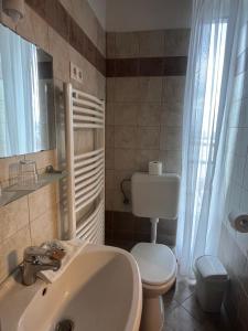 布达佩斯Hotel Rose City的一间带水槽和卫生间的浴室