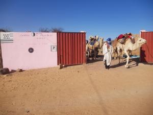 AtarCamping-Auberge Odette du Puigaudeau et Aziza的一群人带着一群骆驼行走