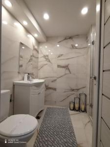 巴亚马雷Apartament in centrul istoric的白色的浴室设有卫生间和淋浴。