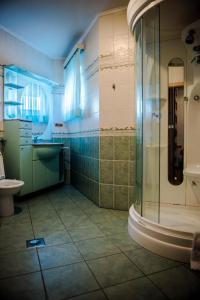 巴拉奥纳省圣克鲁斯Villa的带淋浴和卫生间的浴室