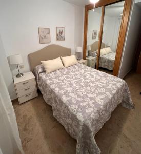 赫雷斯-德拉弗龙特拉Jerez, zona norte, Cadiz, España的一间卧室配有一张床和一面大镜子