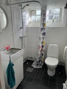马尔默The Yellow House的浴室配有卫生间、盥洗盆和淋浴。