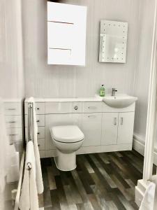 霍利黑德克里德凡公寓的白色的浴室设有卫生间和水槽。