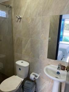 格拉纳达HOTEL PALMA ROJA的一间带卫生间、水槽和镜子的浴室