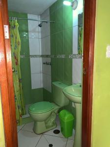 阿亚库乔Hospedaje Luciano的绿色浴室设有卫生间和水槽