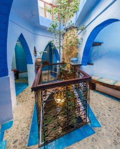 舍夫沙万莫利诺花园酒店的蓝色和白色的房间,桌子上放着植物