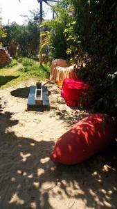 伊察Baliyesan的两个红色枕头在地底边的长凳上