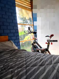 伊察Baliyesan的停在卧室窗户旁的自行车