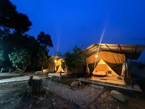 索拉哈Glampin By Tharu Garden的几个帐篷在晚上在田野里
