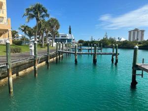 自由港市Canal Front Comfort (Dock slip available)的棕榈树水体上的码头