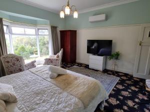 希尔斯维尔Rosebank Guesthouse的一间卧室配有一张床和一台平面电视