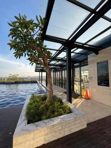 巴淡岛中心Pollux High Rise Apartments at Batam Center with Netflix by MESA的建筑物前种植园里的一棵树