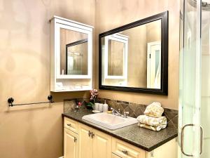 Pitt MeadowsLangley独立洗手间的一楼温馨客房的一间带水槽和两面镜子的浴室