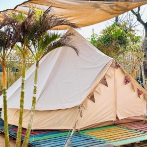 潘切TP-HOMES PHAN THIẾT的两棵棕榈树旁的帐篷