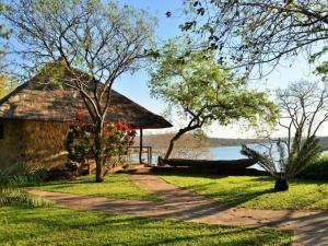BingaMasumu River Lodge的一条通往一座有湖泊背景的建筑的道路
