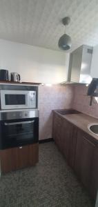 达克斯Villa Argentine T2 classé 2* thème cosy的厨房配有炉灶和微波炉。