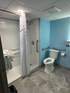 科特兰HomeTowne Studios by Red Roof & Conference Center Cortland的一间带卫生间和淋浴的浴室