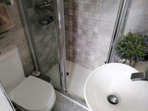 阿尔么丽亚Casa Paraiso的浴室配有卫生间、淋浴和盥洗盆。