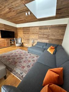 迈尔霍芬423 - Penthouse apartment centrum Mayrhofen near ski area的客厅配有蓝色的沙发和电视