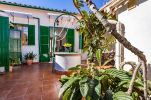 马略卡岛帕尔马Casa Vileta的绿色百叶窗的房子和种有植物的庭院
