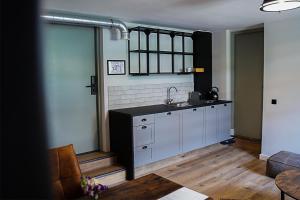 Hooge ZwaluweBoetiekhotel Ons Oude Raadhuis digitaal inchecken的厨房配有水槽和台面