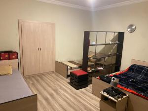 第比利斯ARTISHA TRAVEL TBILISI的客房设有带一张床的卧室和衣柜。