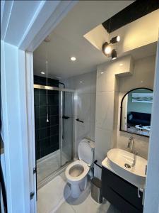 伦敦Primrose Hill Apartment with Balcony的浴室配有卫生间、盥洗盆和淋浴。