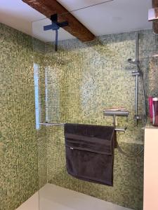 圣加仑Alpen Oase Natur的带淋浴的浴室和绿色瓷砖墙壁