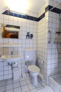 卢森堡APPART-HÔTEL MARCO POLO的白色瓷砖浴室设有卫生间和水槽