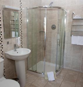 特里姆Knightsbrook Hotel Courtyard Accommodation的带淋浴和盥洗盆的浴室