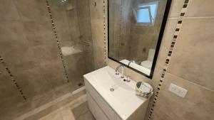 萨尔塔Hotel Los Aceres的一间带水槽、淋浴和镜子的浴室