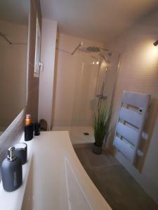 阿卡雄Appartement 90 m2 avec parking terrasse balcons, proche du port et plages的带淋浴和白色盥洗盆的浴室