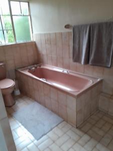 安德伯格UNDERBERG INN的一间带粉色浴缸和卫生间的浴室