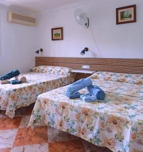 塞维利亚El Azahar的一间设有两张床的房间,上面有糖熊