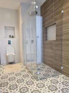 哈德拉Beach front luxury apartment - managed building的浴室设有玻璃淋浴间和卫生间