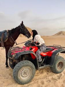 开罗3-Cozy Bedroom Haven l Free Horseback Tours的和马一起在沙漠中骑在公墓里的人