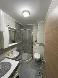 特雷比涅Oasis of Peace的带淋浴、卫生间和盥洗盆的浴室