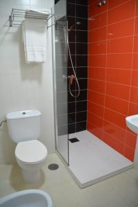 圣地亚哥－德孔波斯特拉Loop INN Hostel Santiago de Compostela的带淋浴、卫生间和盥洗盆的浴室