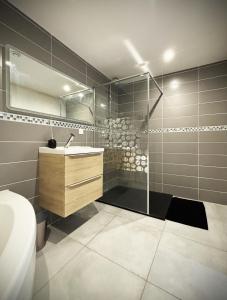 勒芒Residence Belfort的带淋浴、盥洗盆和卫生间的浴室