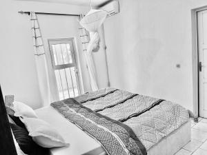 萨利尼亚拉尔CHEZ NOUS的一间带床的卧室,位于带窗户的房间内