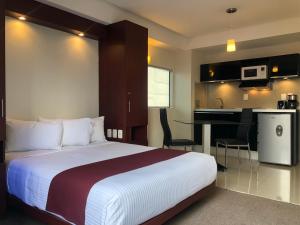 墨西哥城卡普里雷夫玛安琪380公寓式酒店的酒店客房带一张床和一个厨房