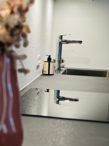 锡尔克堡The Old Hotel Silkeborg - 1MTH的浴室镜子和盥洗盆上的肥皂分配器
