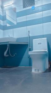 ChegātANGELSNESTMOUNTAINVIEW的浴室设有白色卫生间和蓝色的墙壁。