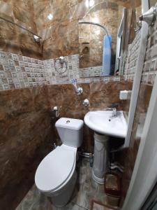 Hotel Erebuni Plaza的一间浴室